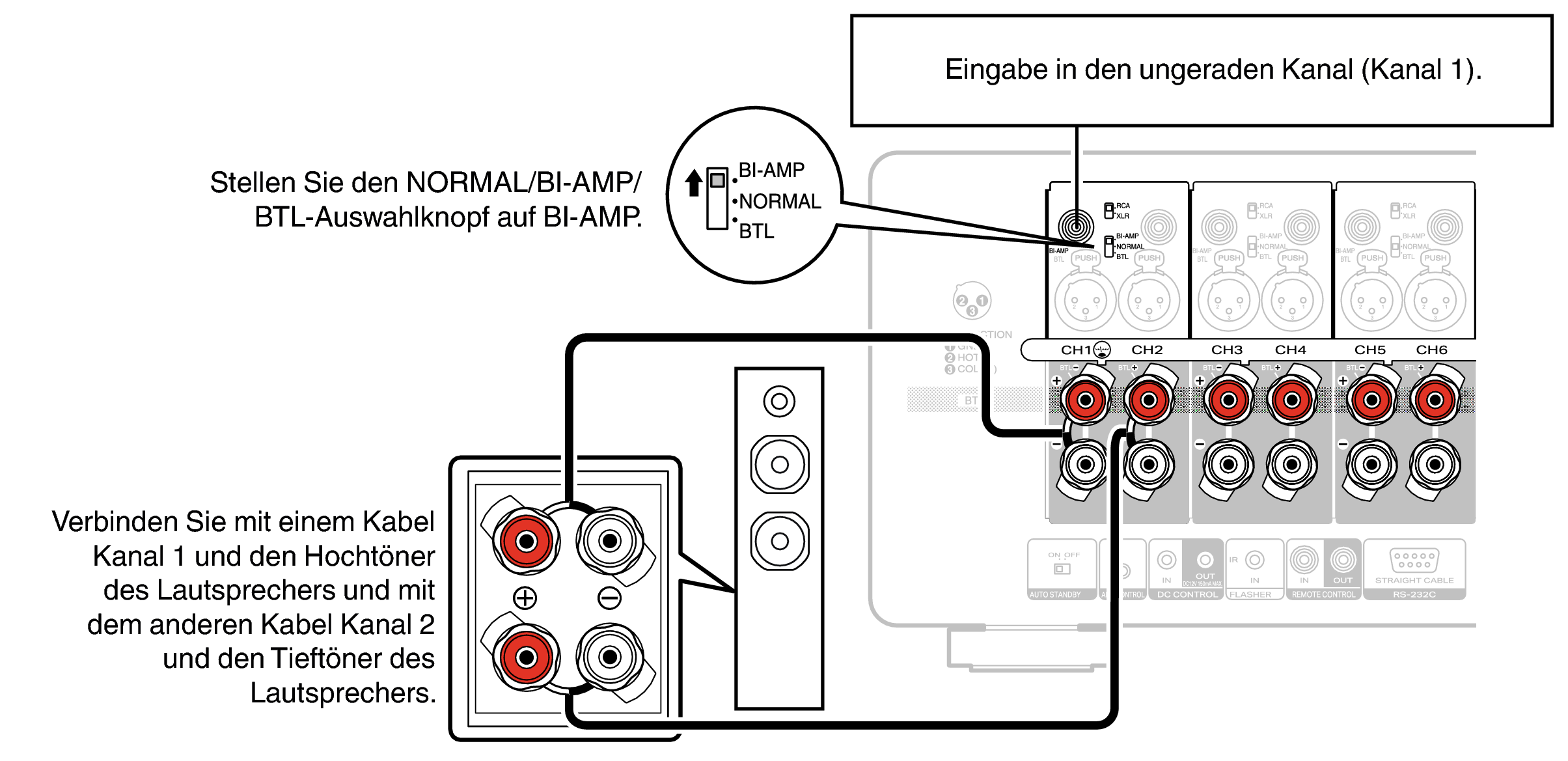 Conne SP BiAmp AMP20